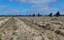 Wspólne zalesienie w Nadleśnictwie Bolesławiec